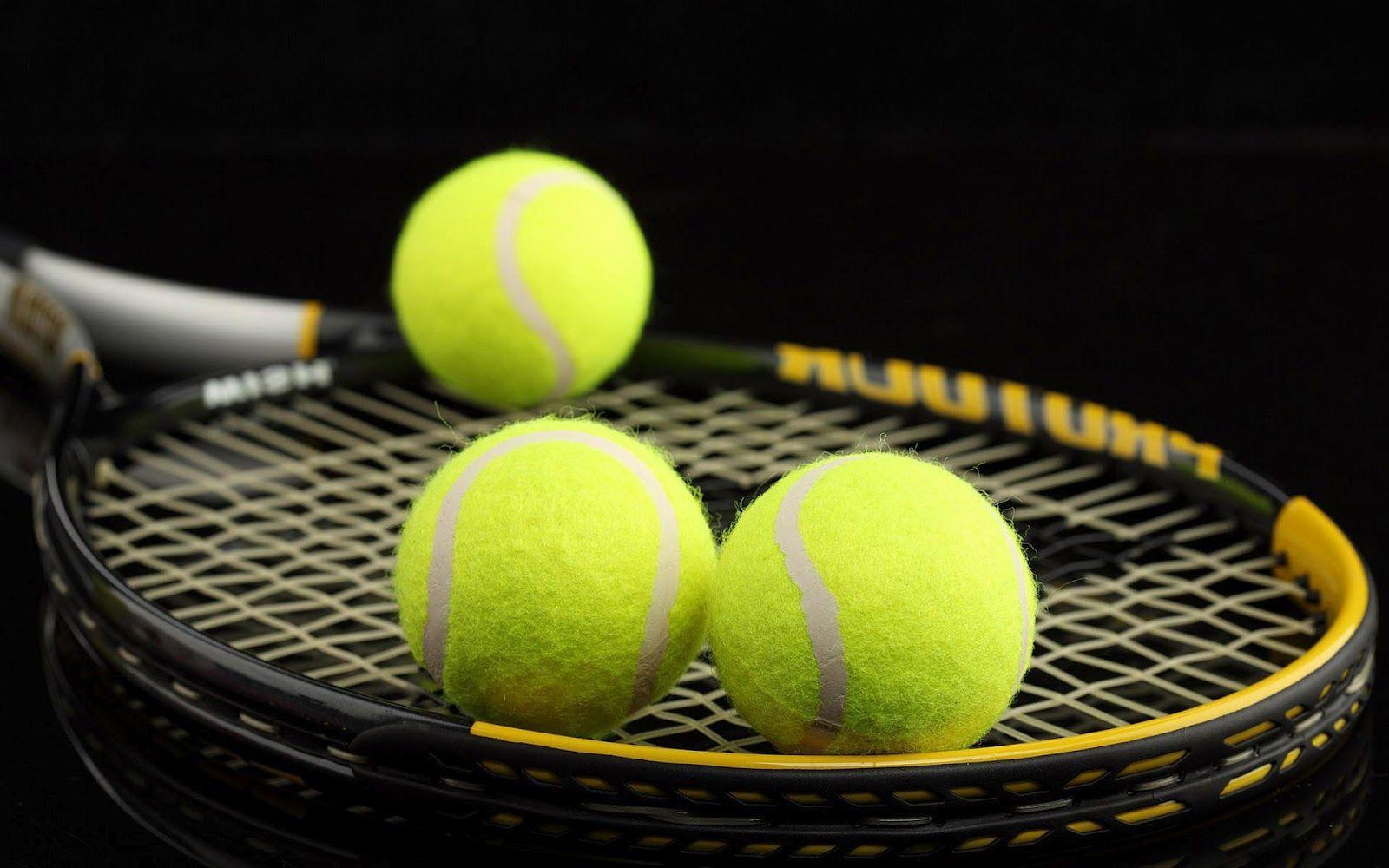 Tennis today 12.08. Schedule, Predictions & Betting Tips
