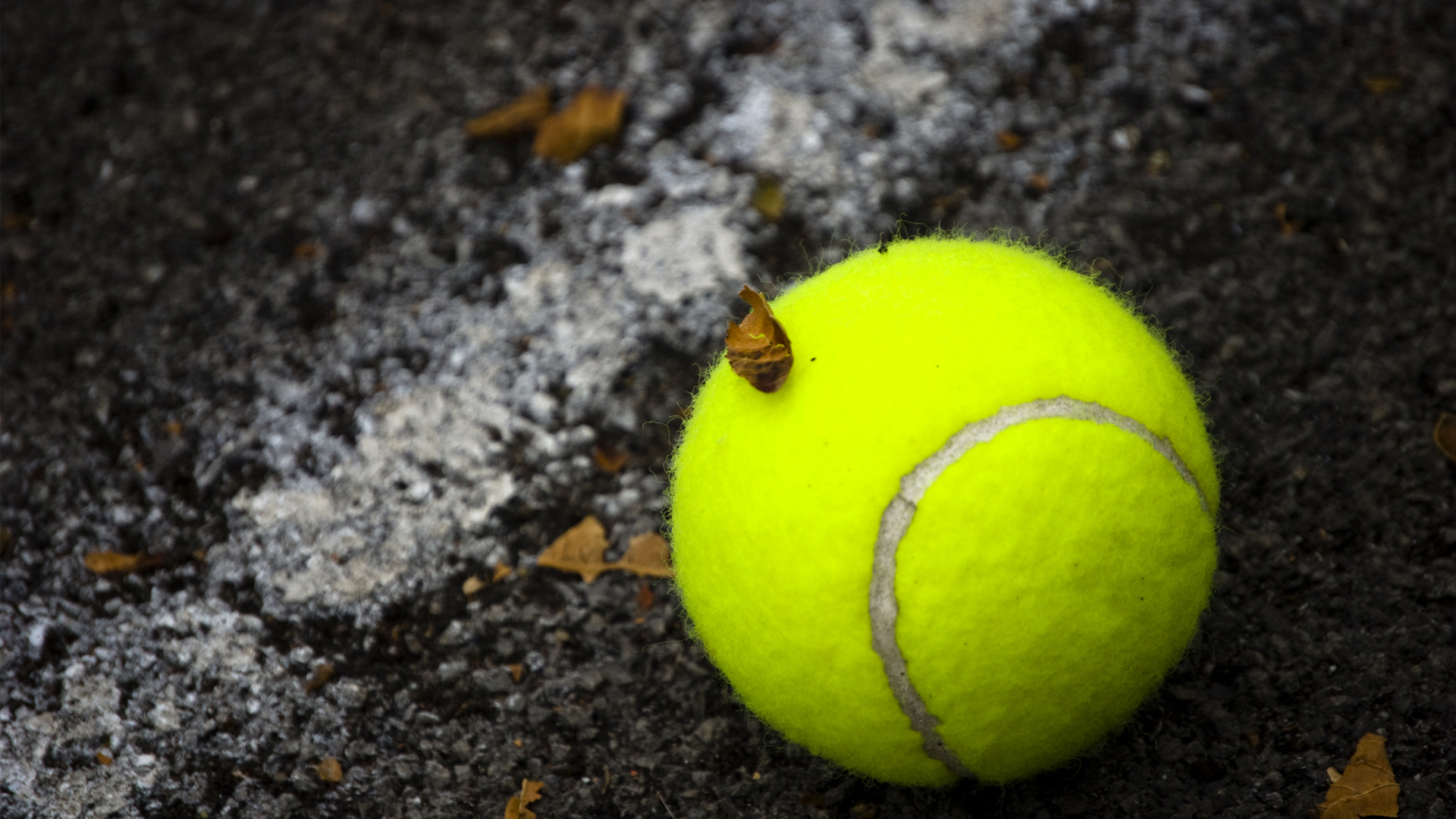 Tenis astăzi 21.09. Program, pronosticuri și ponturi pentru pariuri