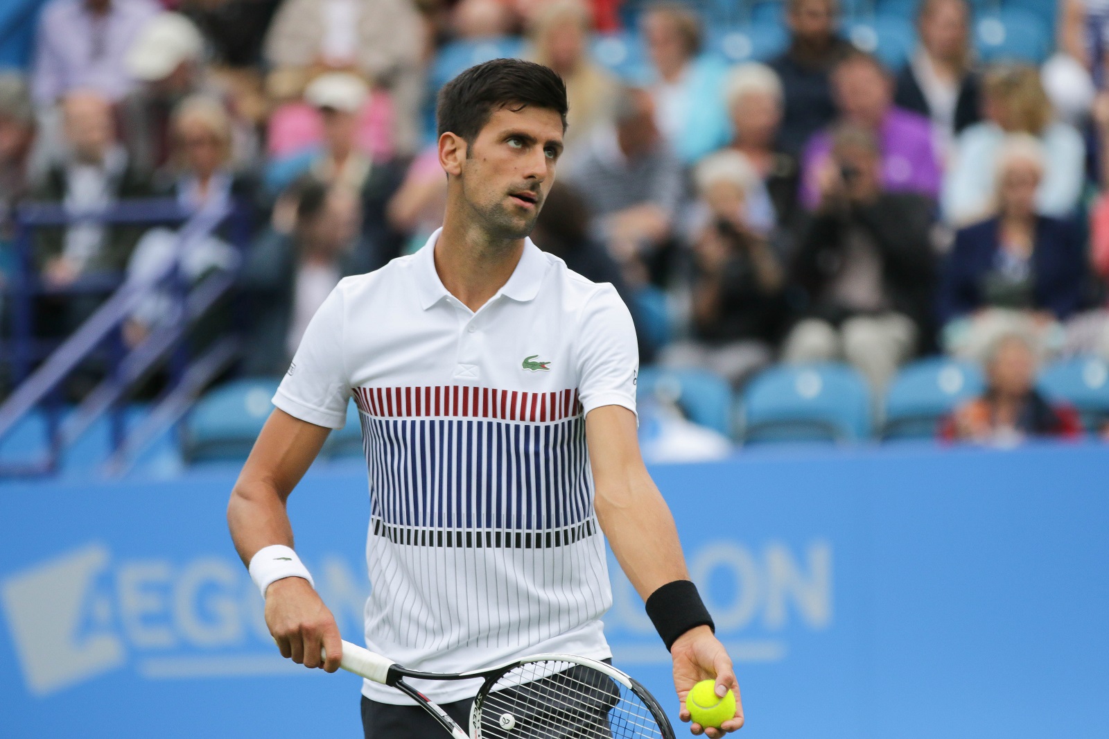 Musetti – Djokovic tip Wimbledon 12.07.2024